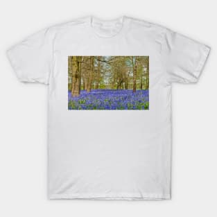 Bluebell Woods Greys Court Oxfordshire UK T-Shirt